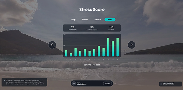 stress scores