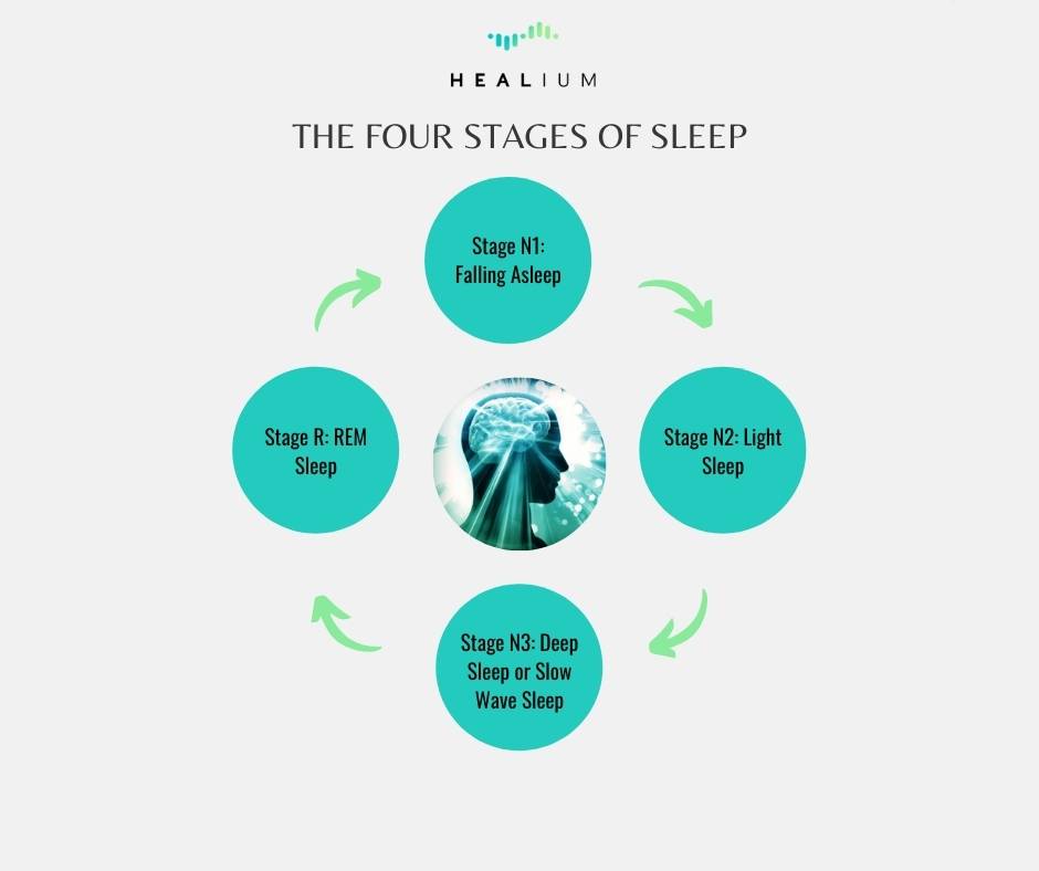 Graphic of the 4 Stages of Sleep
